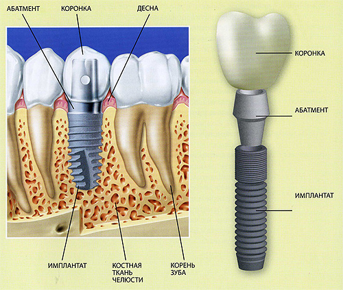 стоматология в Рязани